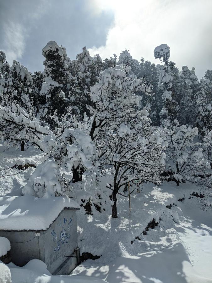 Namastay Himalayas, Kanatal Buitenkant foto