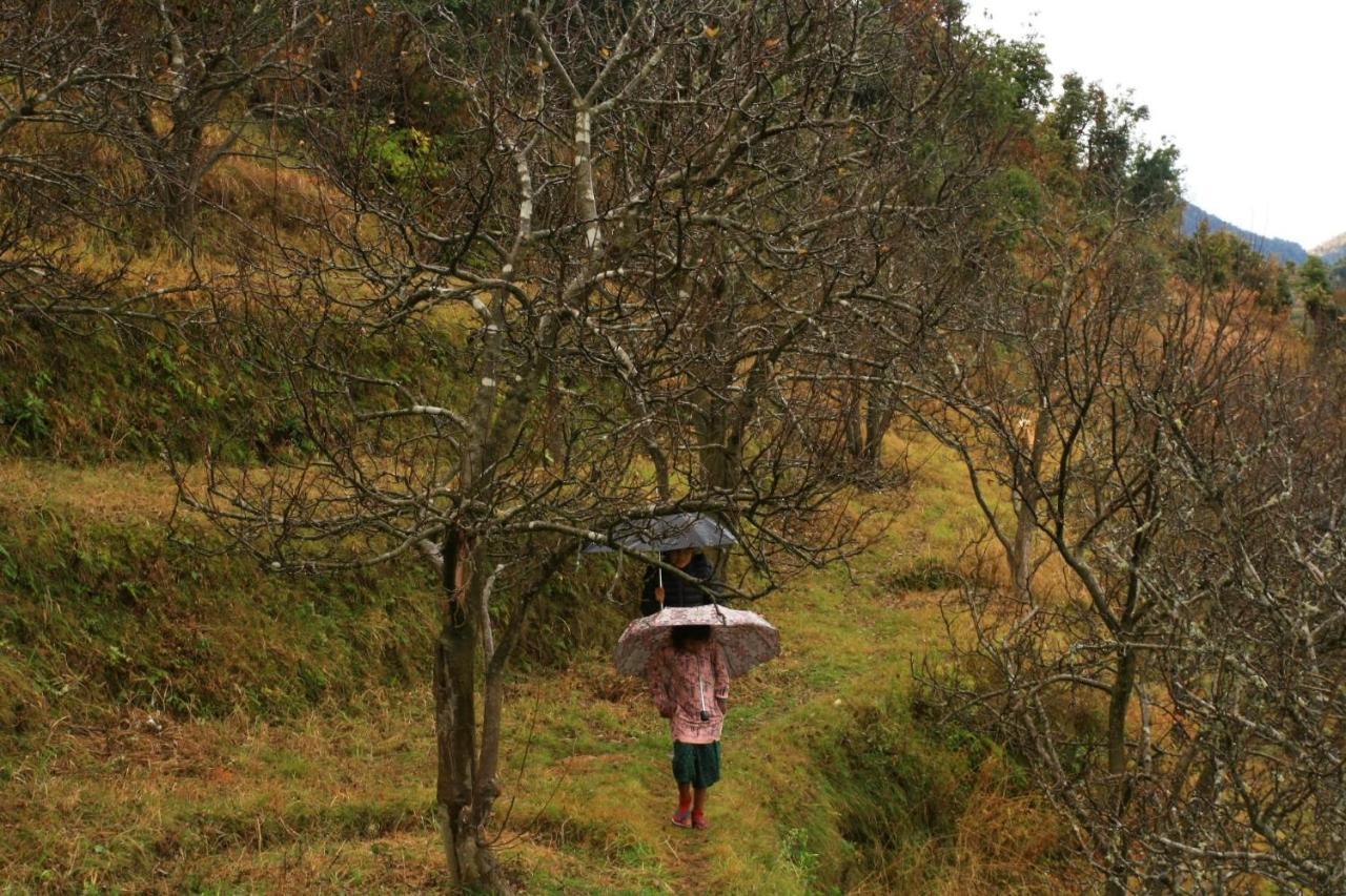 Namastay Himalayas, Kanatal Buitenkant foto