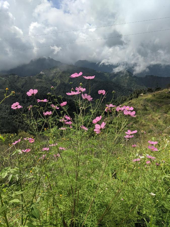 Namastay Himalayas, Kanatal Buitenkant foto